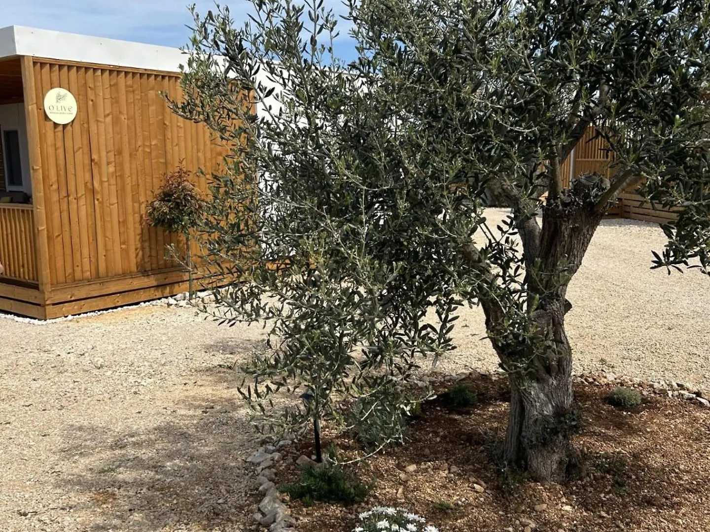 Campsite O'Live Premium Mobile Home Drage Croatia