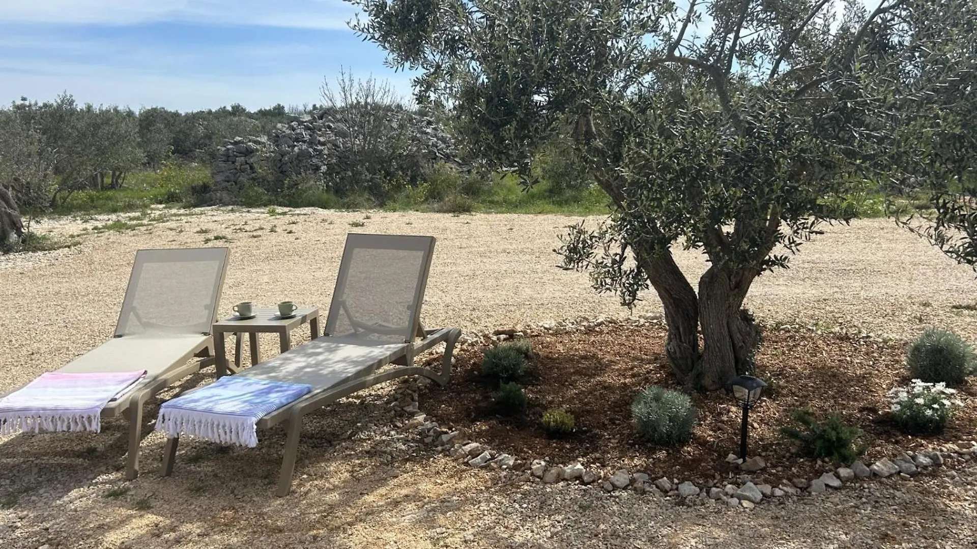 O'Live Premium Mobile Home Drage Campsite
